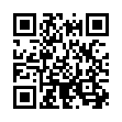 QR-Code BlindSpot